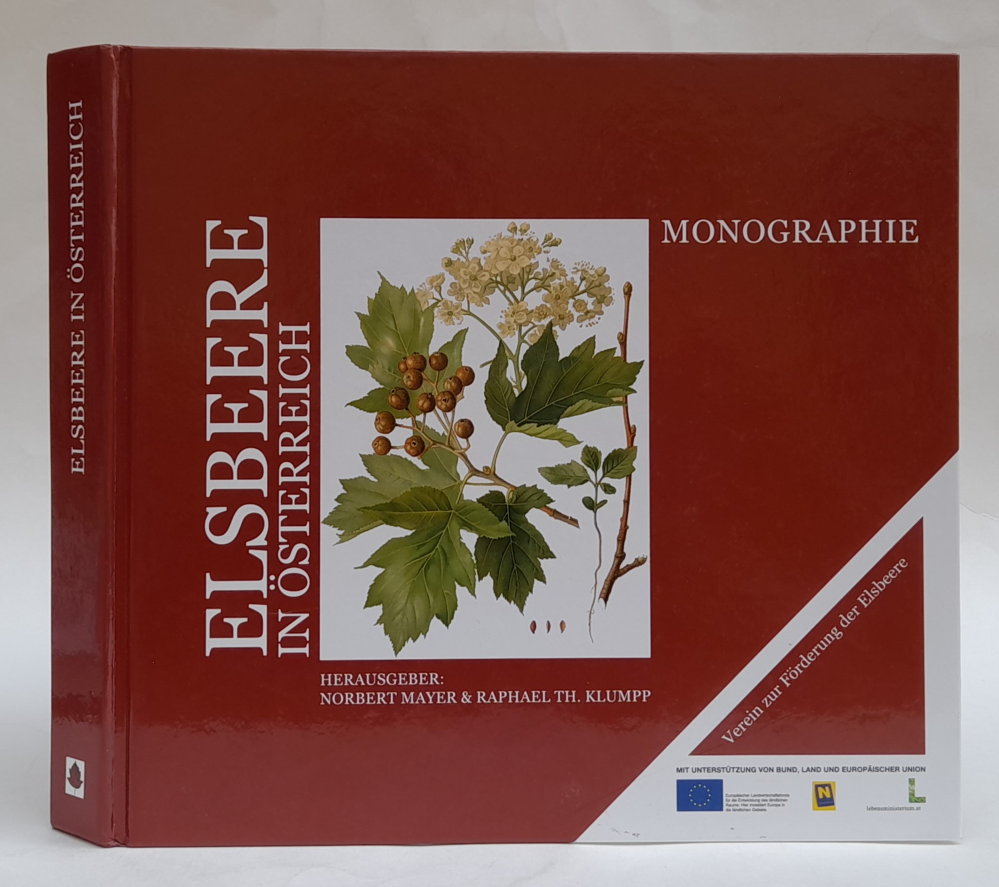 Elsbeere in Österreich. Monographie. Mit zahlr. Abb. - Mayer, Norbert / Klumpp, Raphael (Hg.)