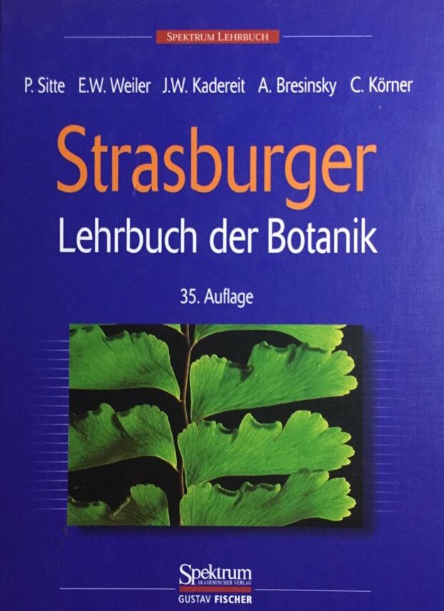 Lehrbuch der Botanik für Hochschulen. Spektrum-Lehrbuch. - Strasburger, Eduard (Begründer des Werks) und Peter Sitte