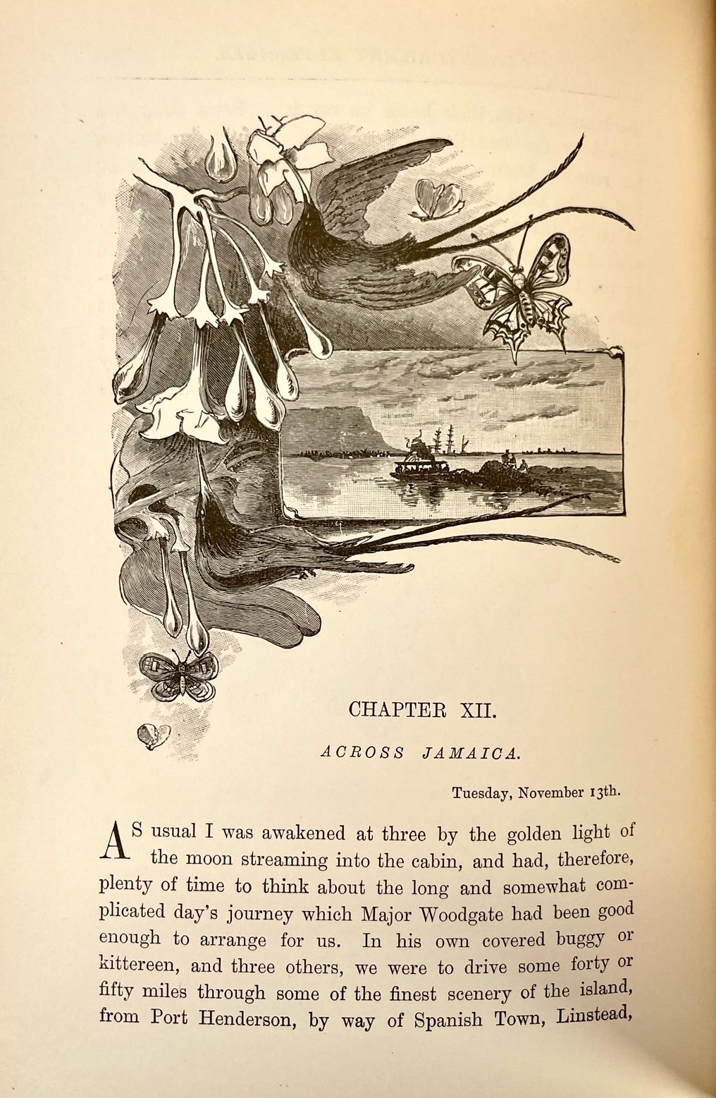 In the Trades, the Tropics, and the Roaring Forties. by Lady In the Trades, the Tropics, and the Roaring Forties. by Lady