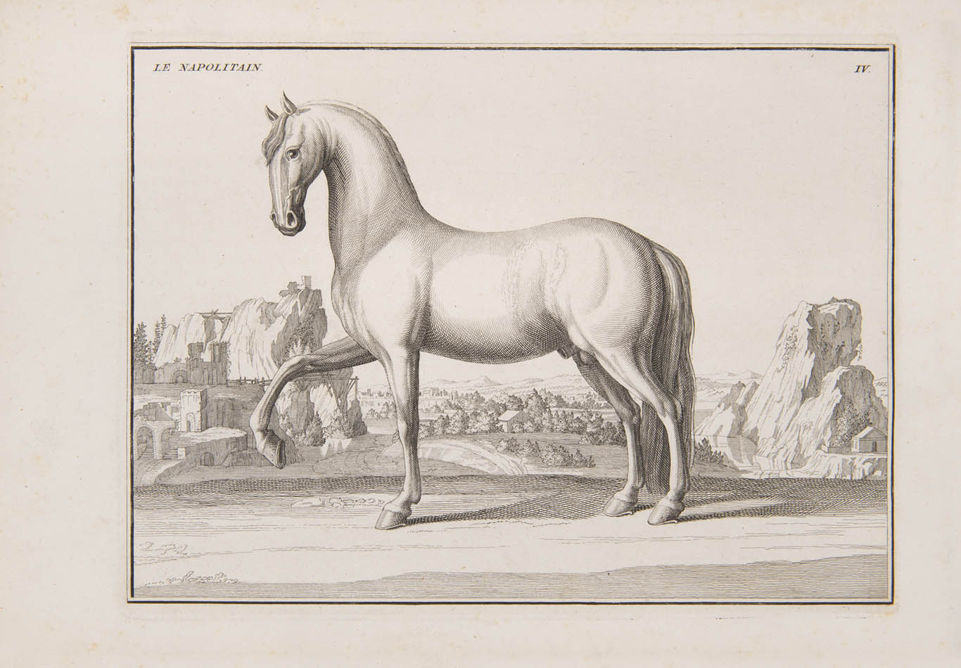 L'art de monter a cheval, ou description du manege moderne, dans sa perfection; expliqué par des leçons necessaires, & representé par des figures exa