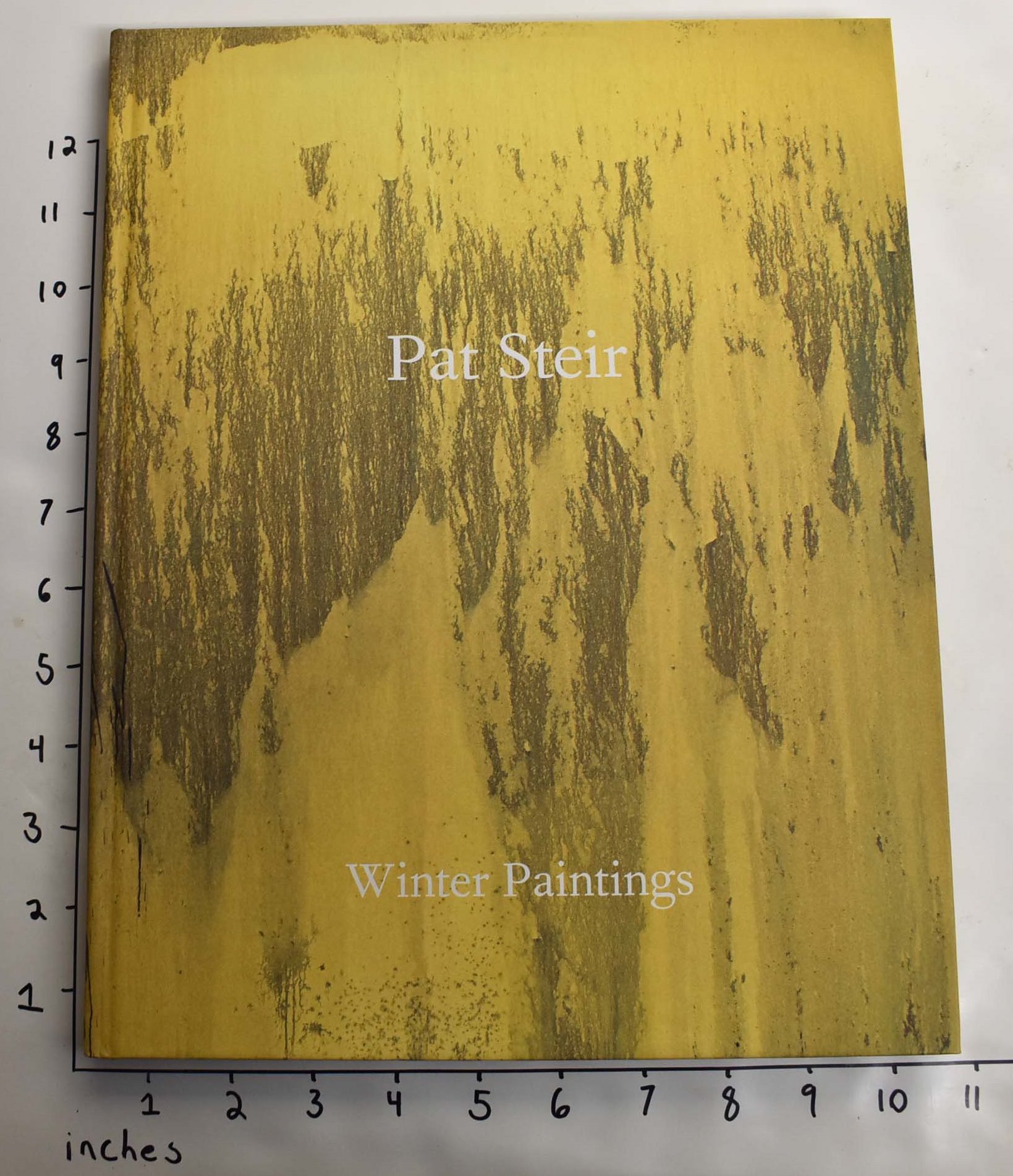 Pat Steir: Winter Paintings - Larson, Kay and Matthew Israel