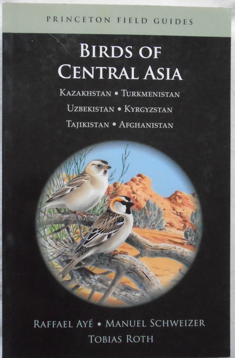 Birds of Central Asia: Kazakhstan, Turkmenistan, Uzbekistan, Kyrgyzstan ...