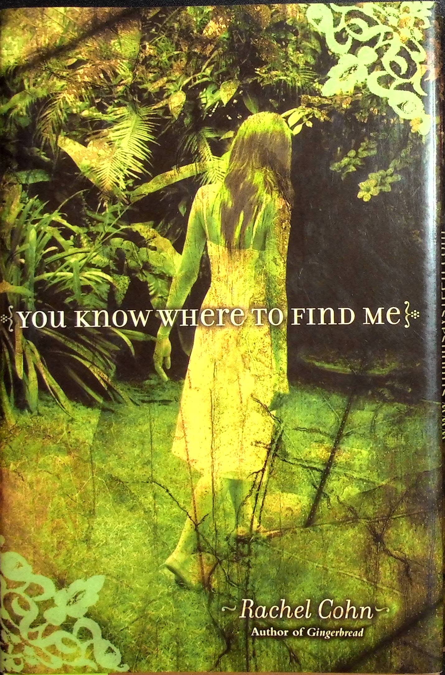 You Know Where to Find Me - Cohn, Rachel (Author)