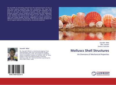 Molluscs Shell Structures - Saurabh Mittal
