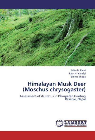 Himalayan Musk Deer (Moschus chrysogaster) - Man B. Karki