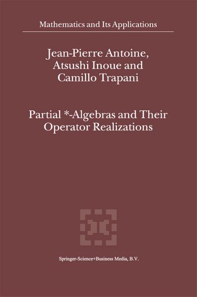 Partial \\*- Algebras and Their Operator Realization - J-P Antoine