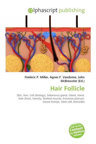 Hair Follicle - Frederic P. Miller