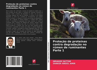 Proteção de proteínas contra degradação no rúmen de ruminantes Parte 1 - Ibrahim Sattar
