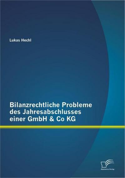 Bilanzrechtliche Probleme des Jahresabschlusses einer GmbH & Co KG - Lukas Hechl
