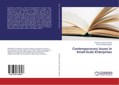 Contemporarary Issues in Small-Scale Enterprises - Olayiwola Olubodun Olaniyi