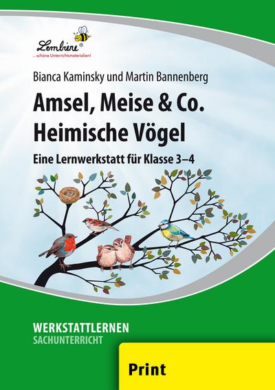 Amsel, Meise & Co: Heimische Vögel - Martin Bannenberg