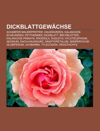 Dickblattgewächse - Books LLC