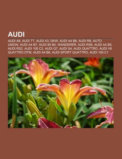 Audi - Books LLC
