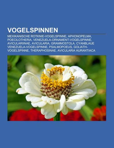 Vogelspinnen - Books LLC