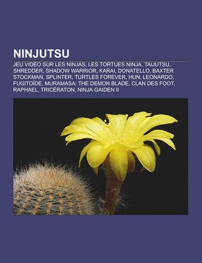 Ninjutsu - Source