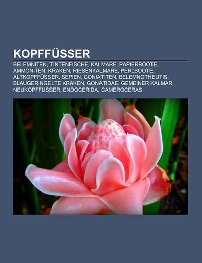 Kopffüßer - Books LLC