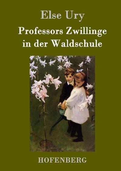 Professors Zwillinge in der Waldschule - Else Ury