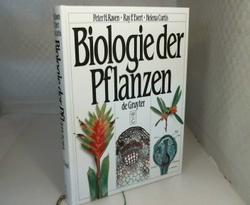 Biologie der Pflanzen. Ins Deutsche übertragen von Rosemarie Langenfeld-Heyser. - Raven, Peter H., Ray Franklin Evert und Helena Curtis