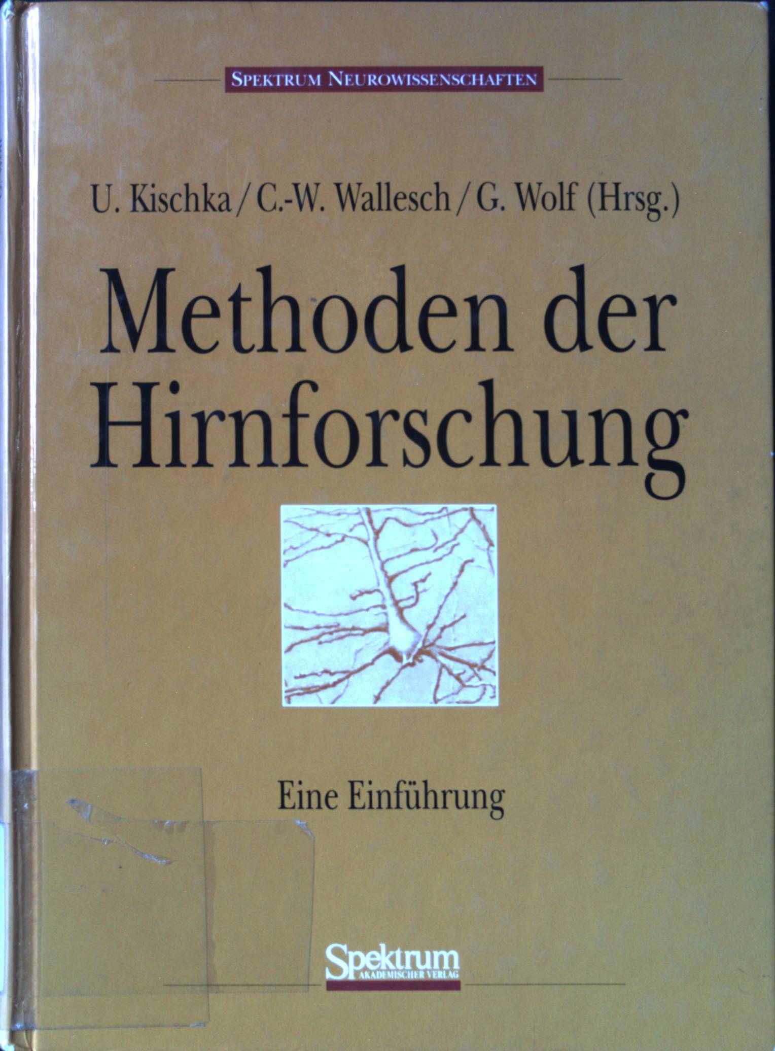 Methoden der Hirnforschung: Eine Einführung. - Kischka, Udo, C. - W. Wallesch und G. Wolf