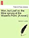 Won, but Lost! or, the Mine sprung at the Wizard's Point. [A novel.] [Soft Cover ] - Lumsden, Marianne H.