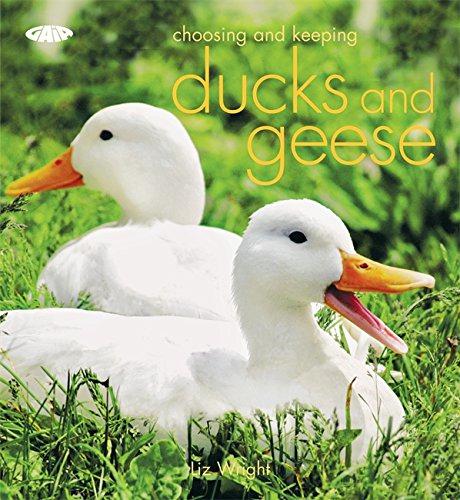 Choosing and Keeping Ducks and Geese - Wright, Liz