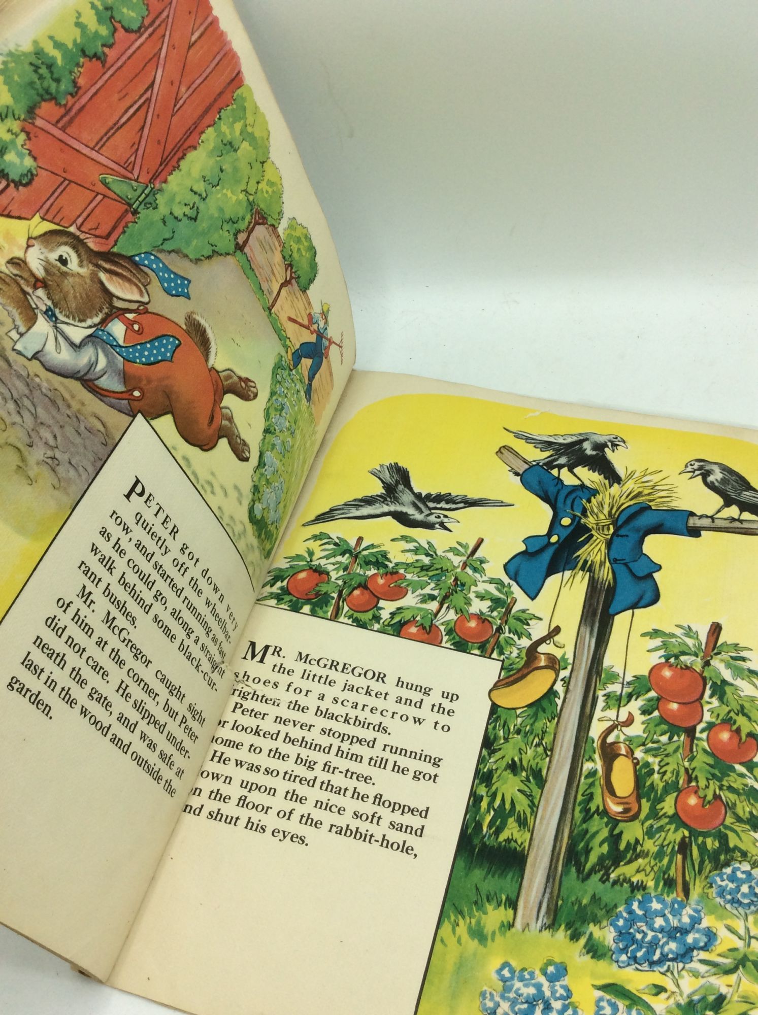 THE TALE OF PETER RABBIT by Milo Winter, illustrations: Fair