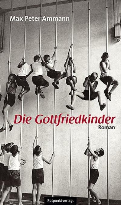 Die Gottfriedkinder: Roman - Max P. Ammann