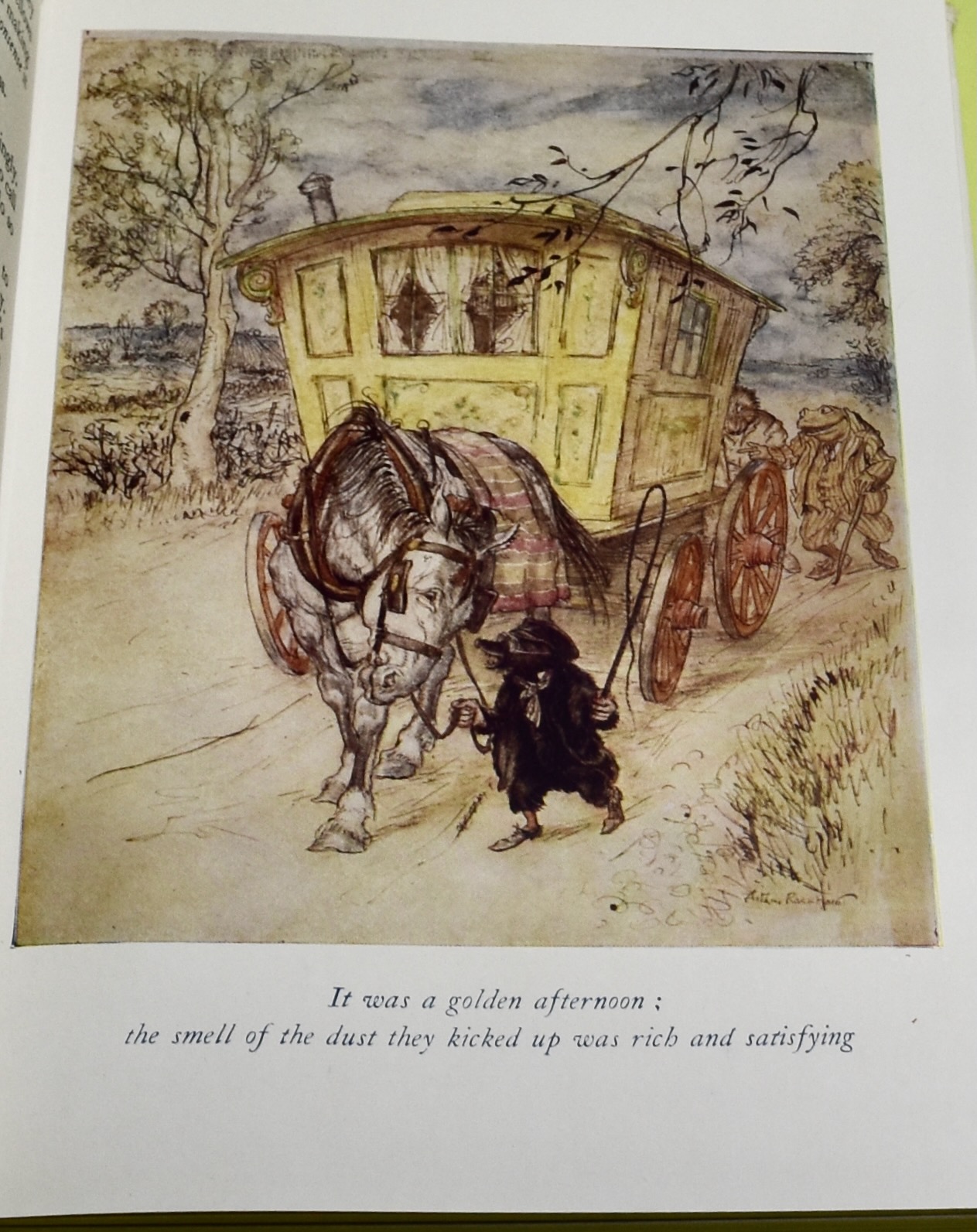 The Wind in The Willows by Grahame, Kenneth; Rackham, Arthur: Near Fine ...