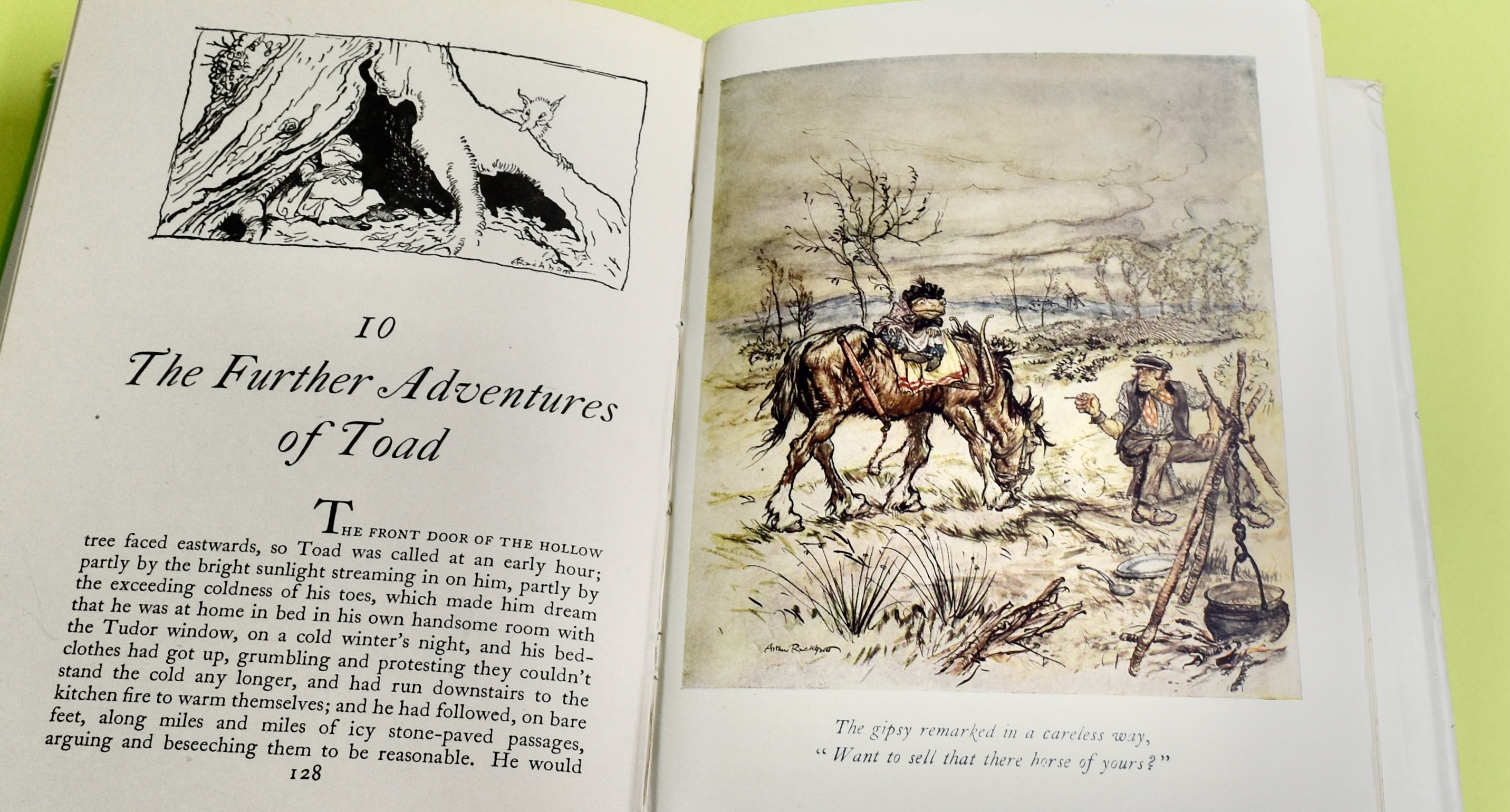 The Wind in The Willows by Grahame, Kenneth; Rackham, Arthur: Near Fine ...