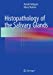 Histopathology of the Salivary Glands [Soft Cover ] - Hellquist, Henrik