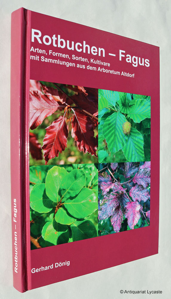 Rotbuchen - Fagus. Arten, Formen, Sorten, Kultivare mit Sammlungen aus dem Arboretum Altdorf. - Dönig, Gerhard
