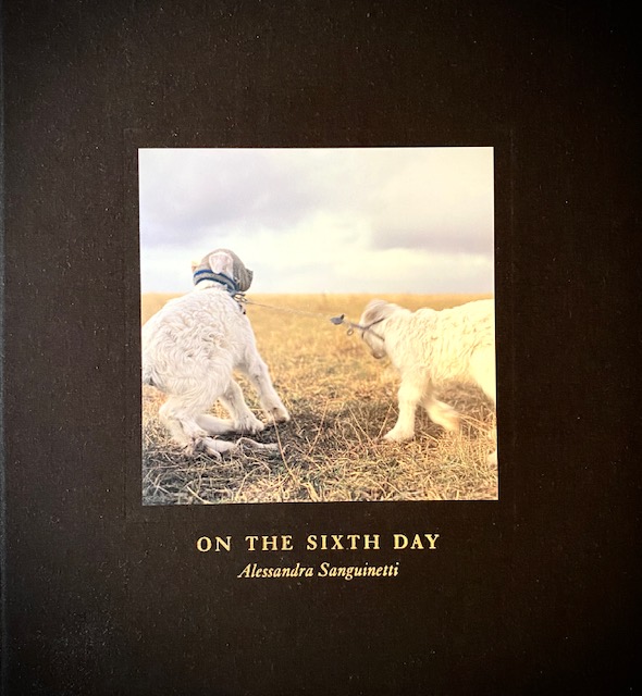 On The Sixth Day by Alessandra Sanguinetti: Very Good On The Sixth Day by Alessandra Sanguinetti: Very Good