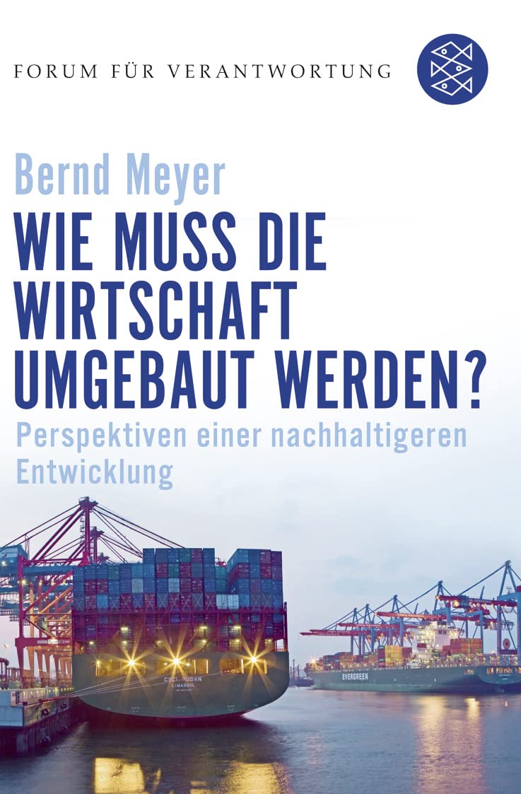 Wie muss die Wirtschaft umgebaut werden? Perspektiven einer nachhaltigeren Entwicklung - Wiegandt, Klaus und Bernd Meyer