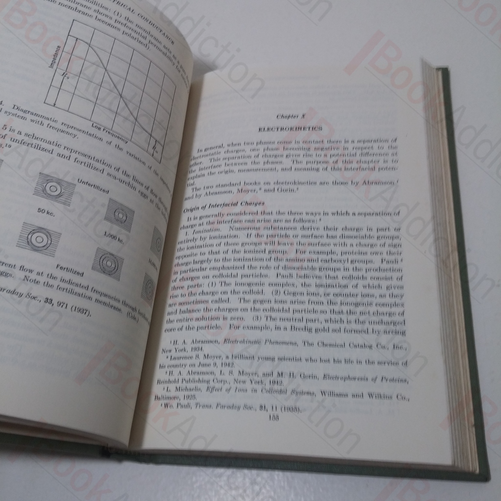 Physical Biochemistry Bull, Henry B [Assez bon] [Couverture rigide]