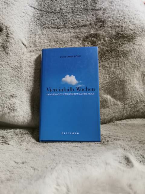 Viereinhalb Wochen : die Geschichte von unserem kleinen Julius. Constanze Bohg. Mit Lukas Lessing - Bohg, Constanze und Lukas (Mitwirkender) Lessing