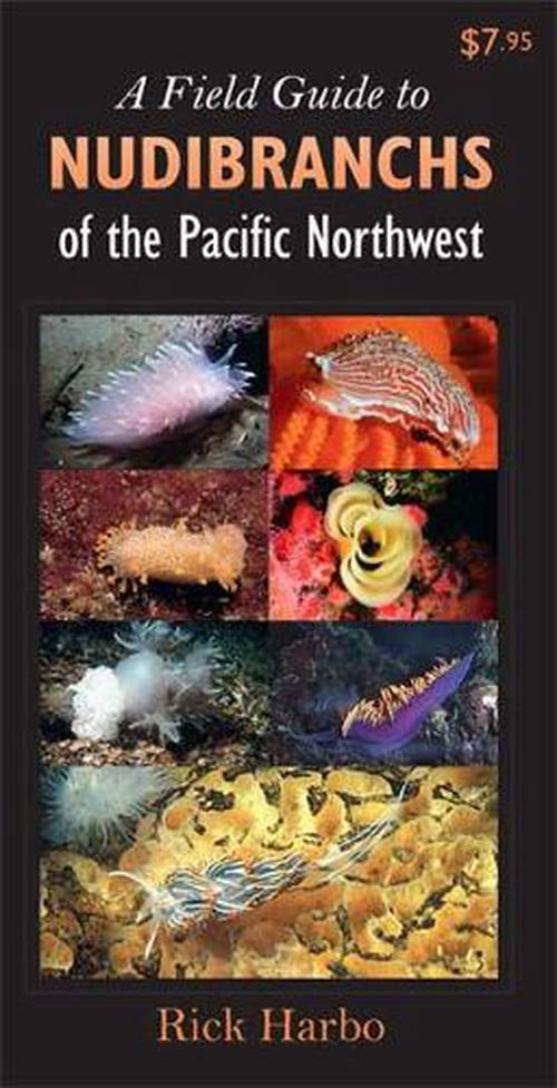 A Field Guide to Nudibranchs of the Pacific Northwest (Paperback) - Rick M. Harbo