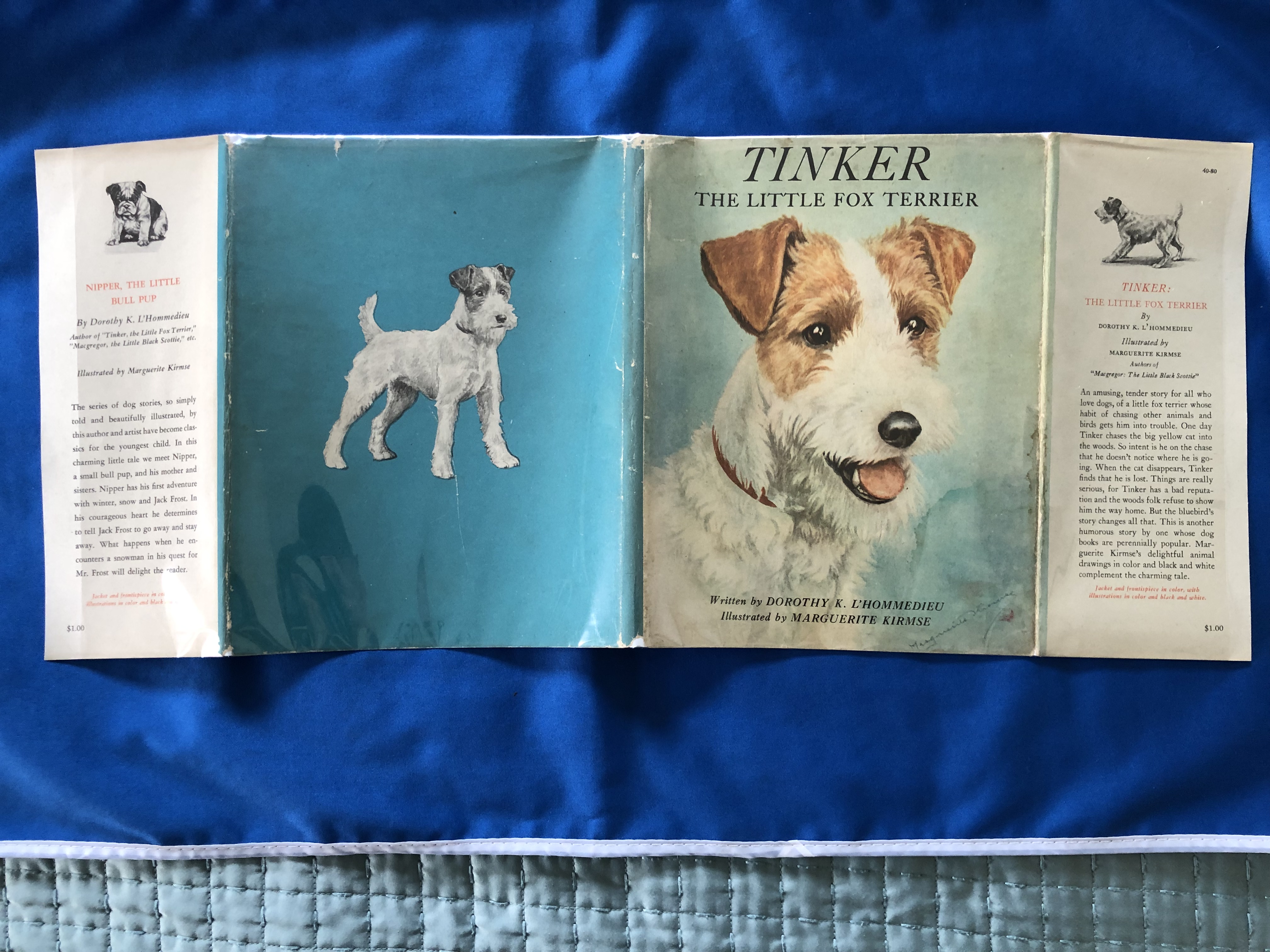 Little top fox terrier