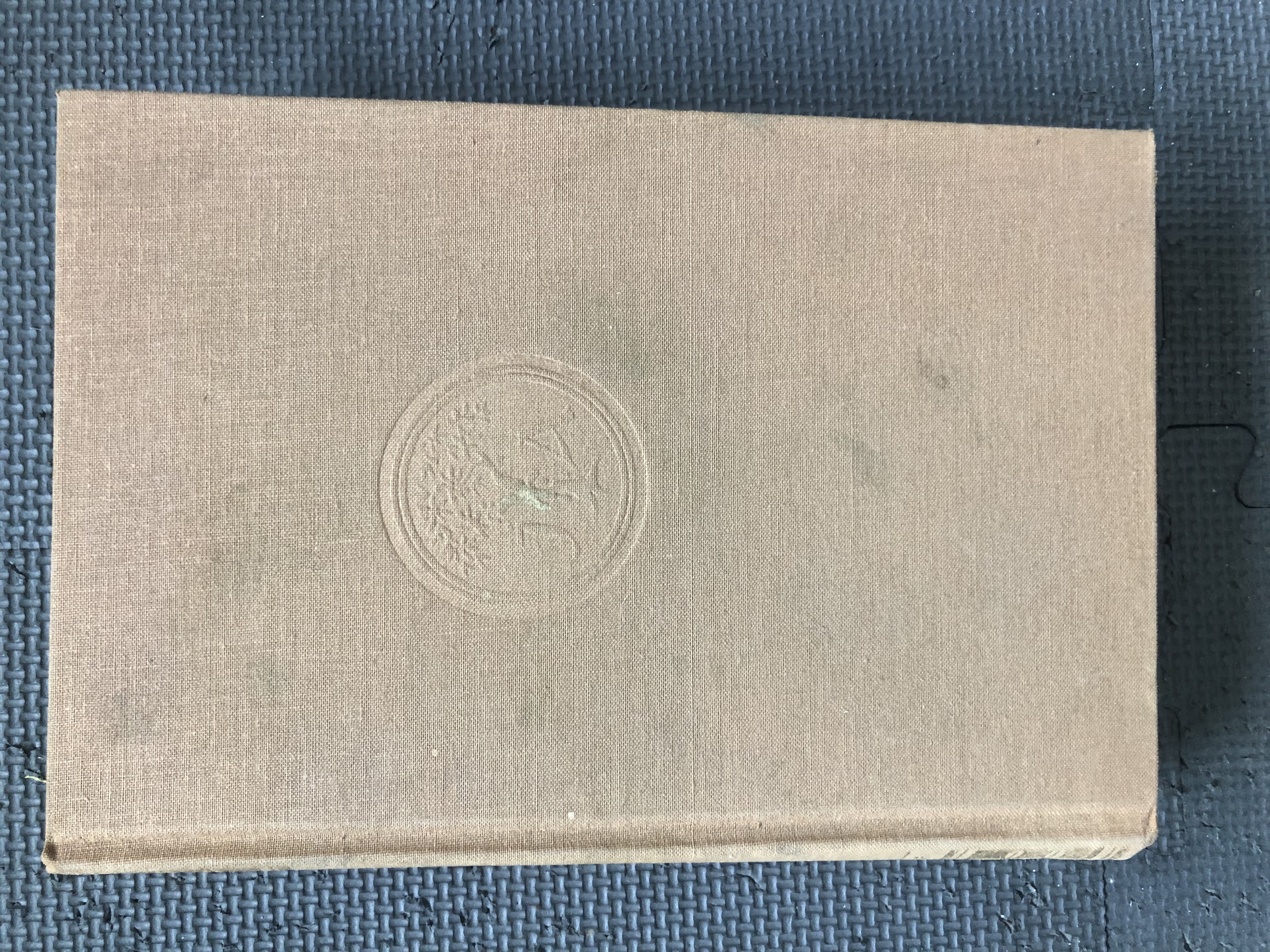 Gabriela, Clove and Cinnamon Amado, Jorge [Good] [Hardcover]