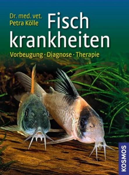 Fischkrankheiten: Vorbeugung, Diagnose, Therapie - Kölle Dr., Petra