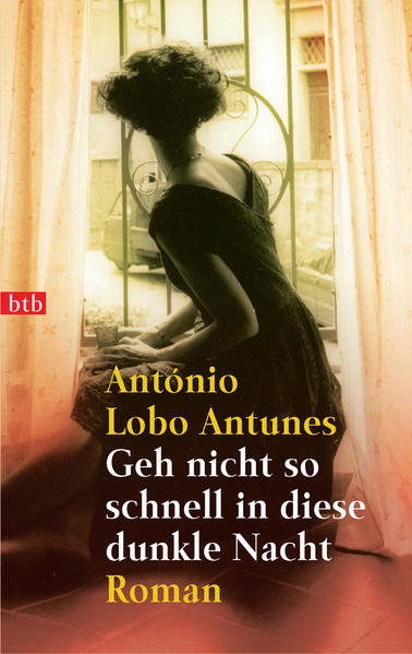 Geh nicht so schnell in diese dunkle Nacht: Roman - Lobo Antunes, António und Maralde Meyer-Minnemann