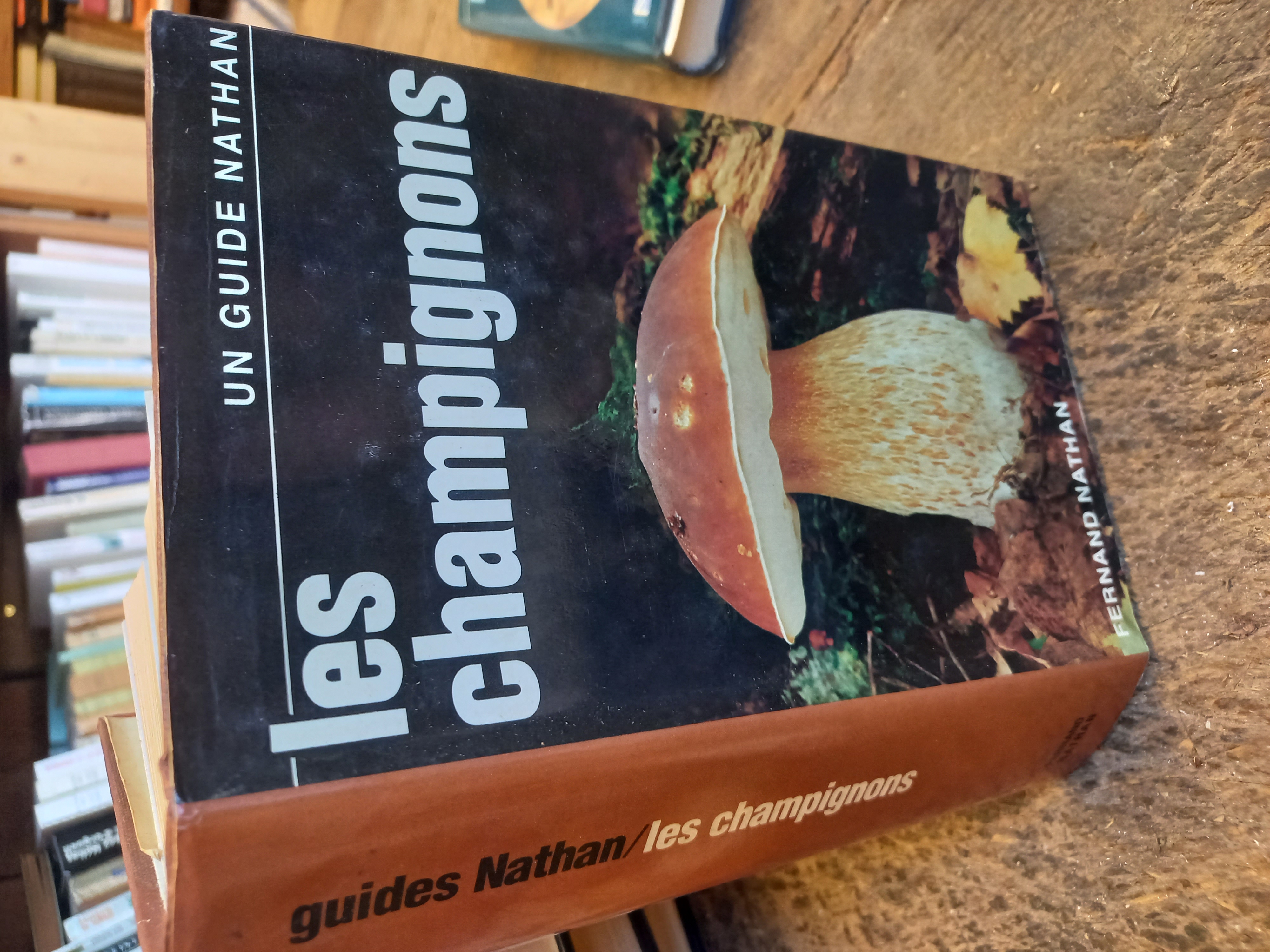 Les champignons - Livre de Giovanni Pacioni