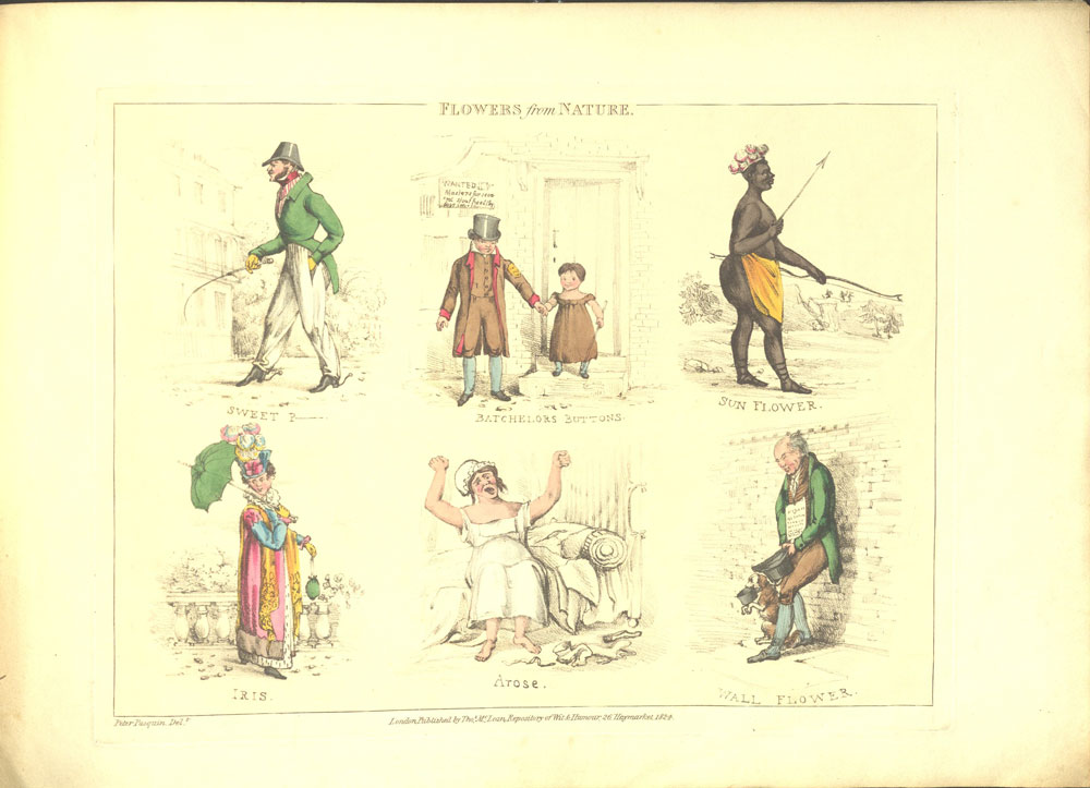 Flowers from Nature PASQUIN Peter [ie ALKEN Henry] 1784-1851 [Near Fine] [Softcover]