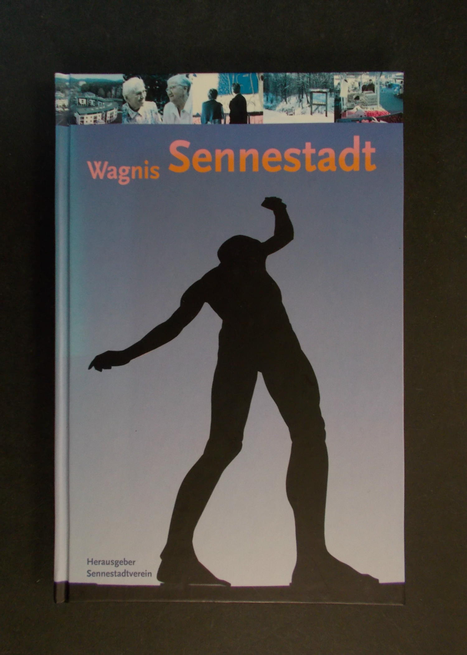 Wagnis Sennestadt - Sennestadtverein (Hg.)