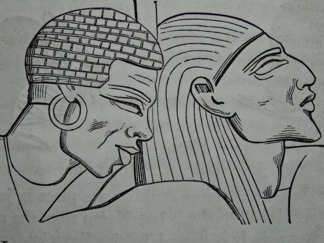 Types of mankind: or, ethnological researches, based upon the ancient monuments, paintings, sculptures, and crania of races, and upon their natural, geographical, philological, and biblical history. Illustrated by selections from the inedited papers of S.G. Morton. 2. Aufl. London u.a., Trübner & Co. u.a., 1854. LXXVI S., S. 49-738 (so komplett). Mit 1 farb. Karte, einigen gefalt. Tafeln u. zahlr. Textabb. Gr.-8°. Neuer Lwd. m. RTit. - Morton, S.G.