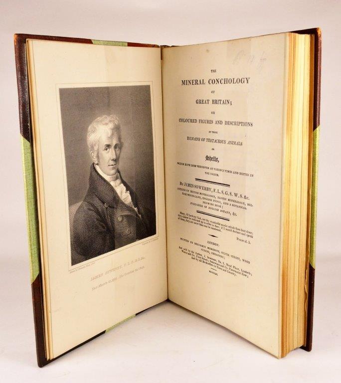 The Mineral Conchology of Great Britain; or Coloured Figures and Descriptions of those remains of Testaceous Animals or Shells, which have been preserved at various times and depths in the Earth. - SOWERBY (James) SOWERBY (James de Carle) & SOWERBY (George Brettingham)