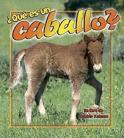 Qué Es Un Caballo? (What Is a Horse?) - Bobbie Kalman