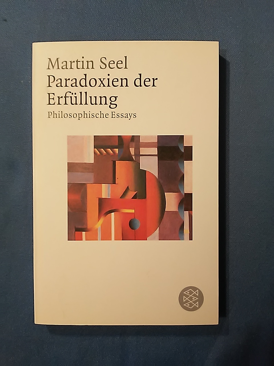 Paradoxien der Erfüllung: Philosophische Essays - Martin Seel.