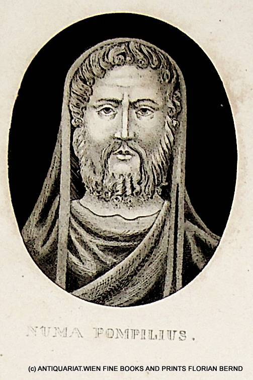 Pompilius outlet