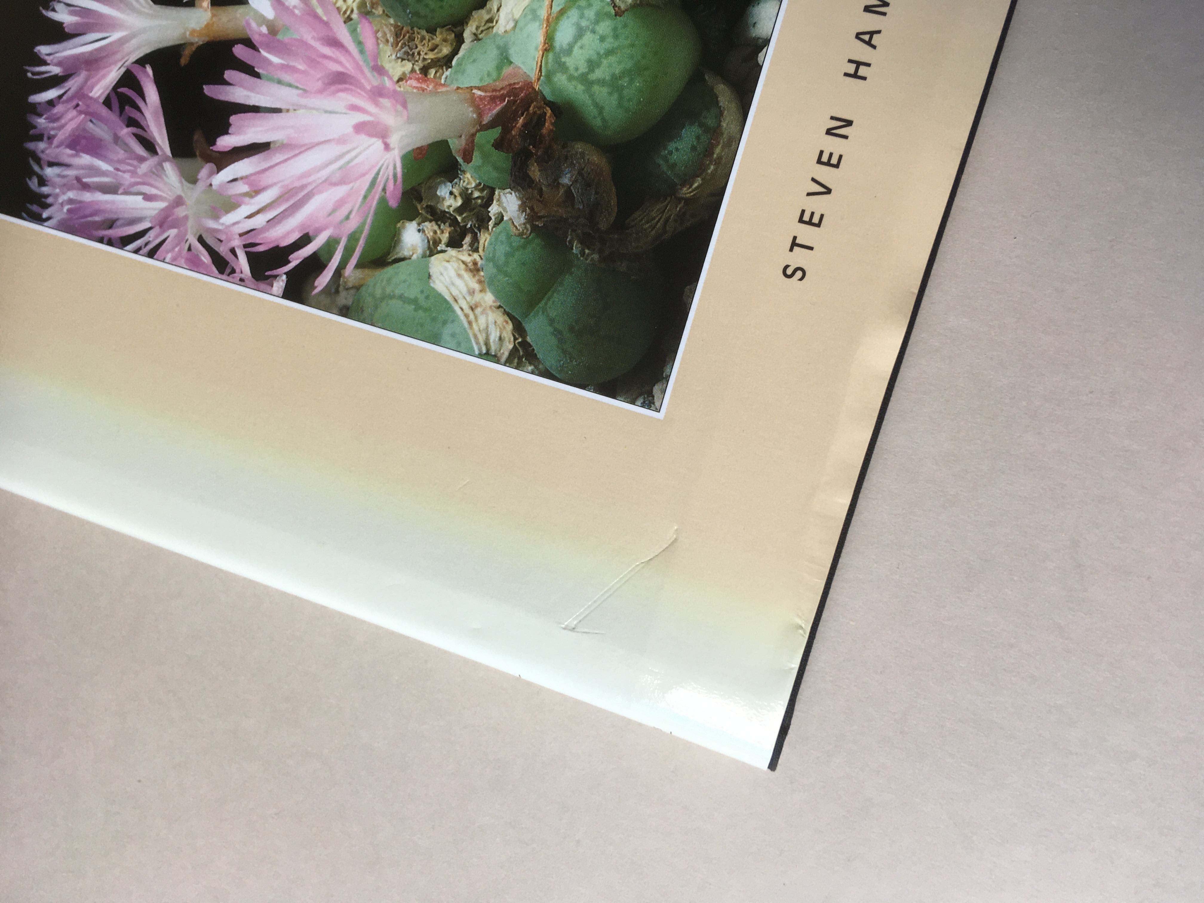 The Genus Conophytum. A Conograph. Signed by the author in