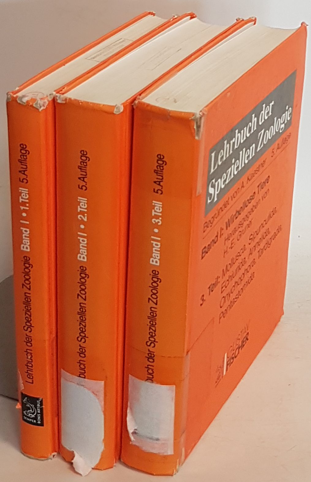 Lehrbuch der Speziellen Zoologie: BAND I: Wirbellose Tiere (3 Teile) - Teil 1: Einführung, Protozoa, Placezoa, Porifera/ Teil 2: Cnidaria, Ctenophora, Mesozoa, Plathelminthes, Nemertini, Entoprocta, Nemathelminthes, Priapulida/ Teil 3: Mollusca, Sipunculida, Echiurida, Annelida, Onychophora, Tardigrada, Pentastomida. - Kaestner, A.